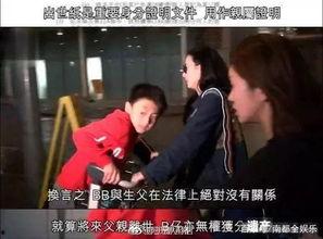 七点爆料娱乐圈孩子,娱乐圈萌娃集结，星二代风采大揭秘