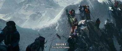 绝命海拔在线观看免费,挑战极限的人性考验