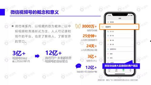 速冻鸡腿爆料视频播放下载,揭秘播放下载背后的热门现象
