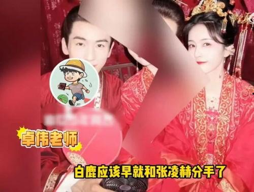 对白鹿的爆料视频,娱乐圈背后的惊人真相