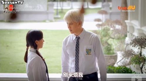 一吻定情泰国版在线观看,浪漫爱情故事，甜蜜邂逅等你来见证