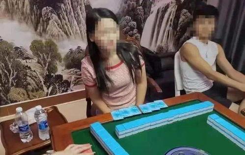麻将桌爆料视频教程大全,视频教程大全深度解析