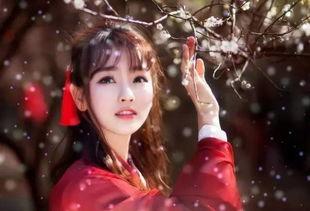 瑟妃瑟雨在线观看视频,穿越时空的浪漫传奇