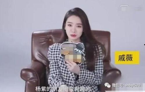 娱乐圈爆料的小号,揭秘明星背后的惊人真相
