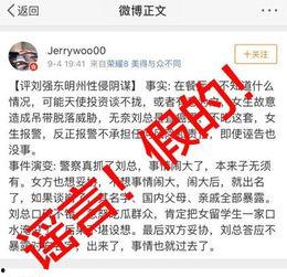 美国税局最新爆料案件,揭秘巨额逃税案件内幕