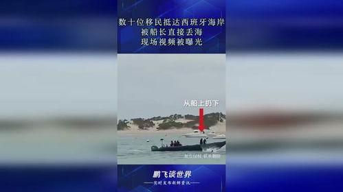 海洋最新爆料视频播放,最新爆料视频揭秘神秘海洋生物