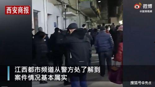 安义欺凌学生爆料案件视频,揭开校园暴力黑暗面