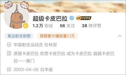 皮哥爆料视频大全下载最新,揭秘娱乐圈最新动态
