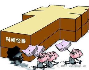 广州高校爆料案件最新情况,真相渐明，校园安全再引关注