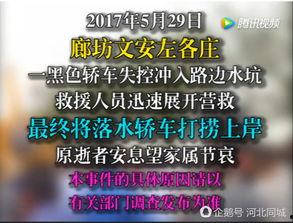 文安网友爆料视频大全集,揭秘生活百态