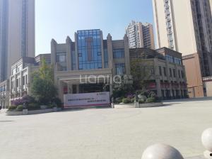 成都碧桂园爆料最新消息,揭秘项目进展与未来规划