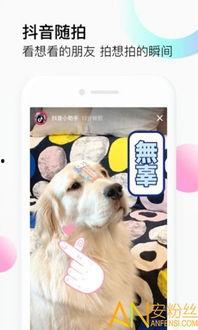 抖音狗崽爆料视频大全,揭秘网络热点背后的真相