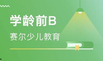 哈尔滨教育爆料视频,揭秘校园内幕，引发社会关注