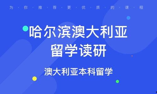 哈尔滨教育爆料视频,揭秘校园内幕，引发社会关注