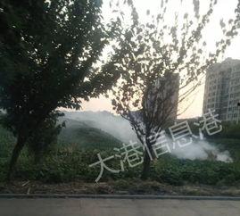 镇江大港新区爆料案件最新,神秘案件引发社会关注