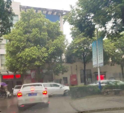镇江大港新区爆料案件最新,神秘案件引发社会关注