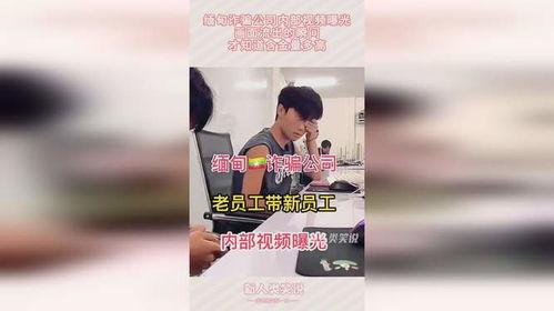 缅甸爆料视频大全最新,最新爆料视频大盘点，真相与争议交织