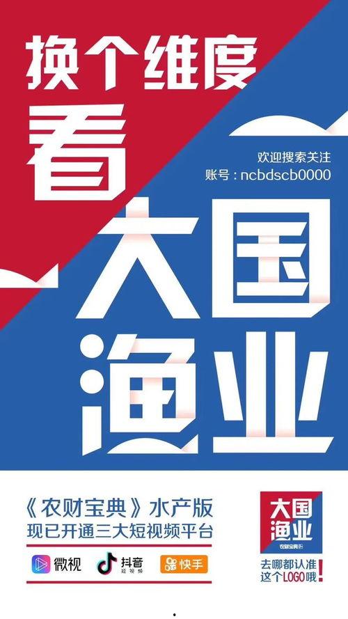 中国网红新闻爆料视频大全,中国热门新闻视频大盘点