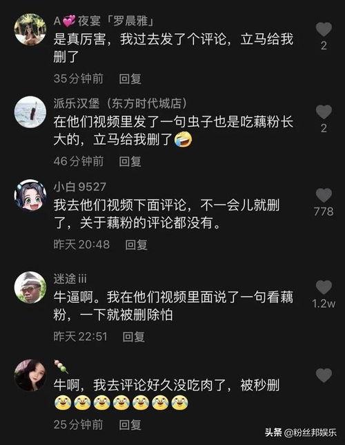 虫子爆料视频真的吗,揭秘真相还是虚构传闻？
