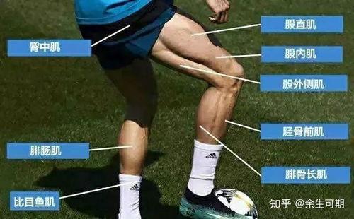 女网红爆料c罗是谁啊视频,揭秘背后惊人真相