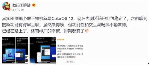 爆料时间视频大全最新,视频大全新鲜出炉，精彩内容抢先看！