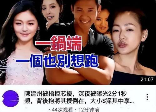 台媒爆料大s最新视频,台媒揭秘幕后真相