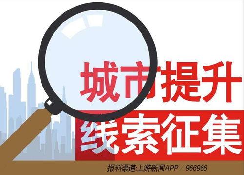 莱芜新闻爆料热线电话,共建和谐社区