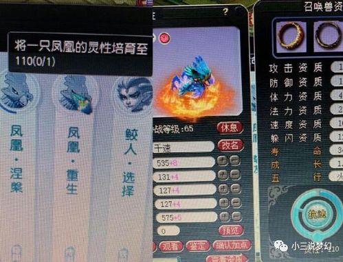 梦幻最新资料片爆料,揭秘最新资料片震撼亮点与前瞻
