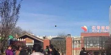 北京幼儿园爆料视频大全,揭秘育儿日常与教育真相