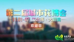 云阳新闻爆料事件视频,视频揭露惊人真相