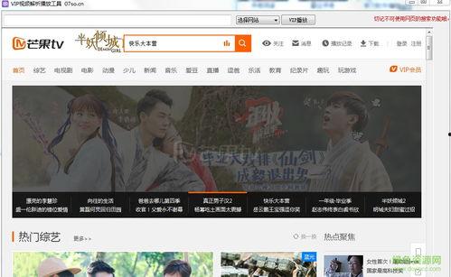 河南二黑爆料视频播放网站,揭秘网络热点背后的真相