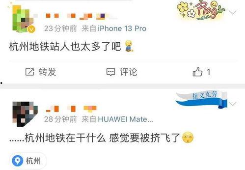 杭州今日爆料,揭秘城市热点事件背后的真相