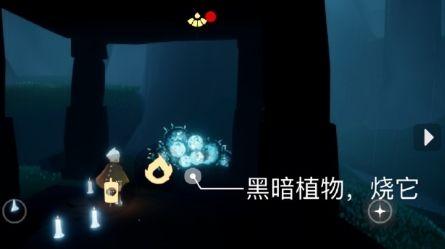 光遇最新爆料月光日,光遇新版本揭秘，神秘活动即将开启！