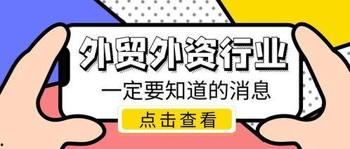 国内最新事件爆料信息大全,热点追踪与深度解析