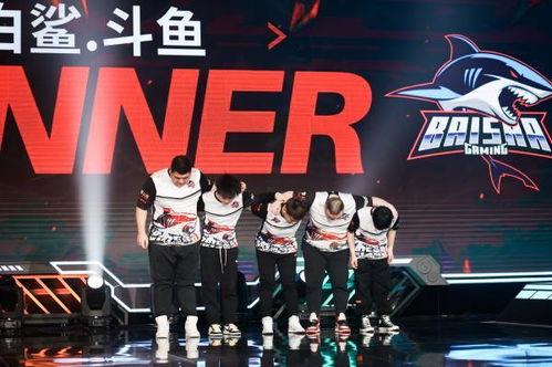 白鲨爆料比赛视频大全,比赛视频大全精彩瞬间回顾