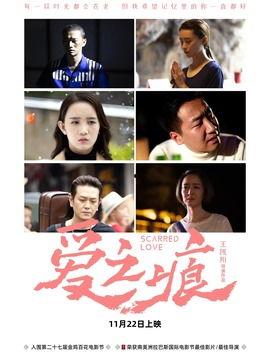 南瓜爆料演员表介绍视频,揭秘热门剧集演员阵容，精彩阵容引期待