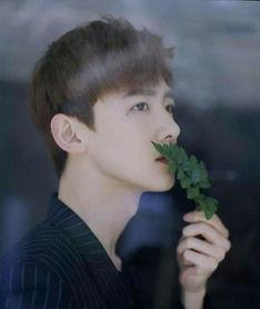 白敬亭脱粉爆料视频大全,揭秘娱乐圈背后的真相