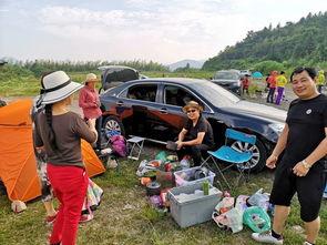 浙江野炊露营爆料视频播放,揭秘户外生活新潮流