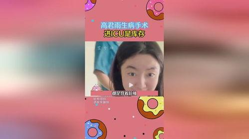 吃瓜乐园小说免费阅读,揭秘娱乐圈背后的秘密与真相