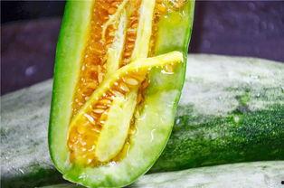 哪种地方可以吃网红瓜呢,探寻各地特色美食打卡地