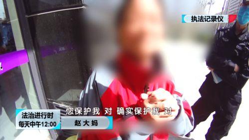 元哥邻居爆料视频大全,揭秘生活百态，共赏人间烟火