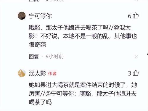 混太影二八案最新爆料,揭秘背后惊人内幕