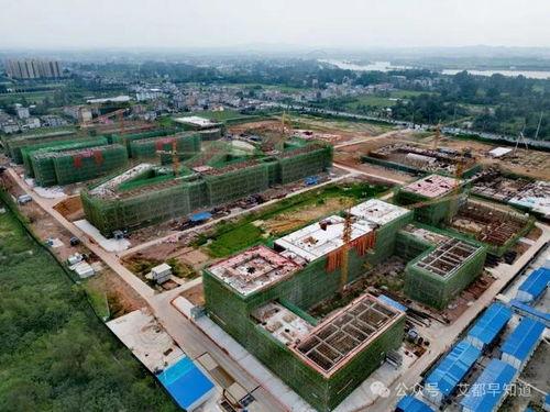 蕲春最新爆料,揭秘当地发展新动态与民生改善成果