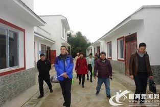 宾阳高田最新新闻爆料,村民发现古墓群，专家现场考古调查