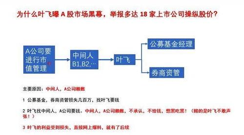 怎么看叶飞爆料的视频,深度解析视频内容背后的真相