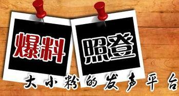 常州新闻爆料平台,聚焦民生热点，揭示社会现象