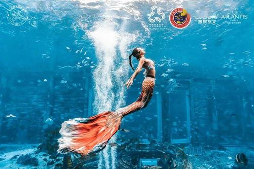 美人鱼爆料视频,幕后真相与惊人内幕大曝光