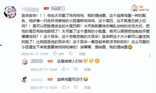 须弥爆料名单最新,揭秘神秘势力背后的真相