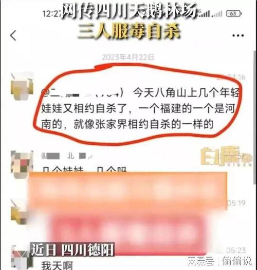 爆料健康知识大全最新版,全方位守护您的健康