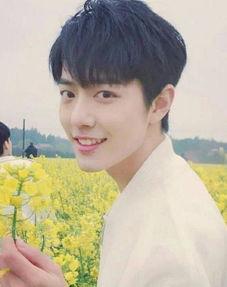 肖战最新八爪娱爆料,八爪娱独家爆料，揭秘明星幕后故事